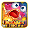 Bombing Fish