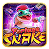 Fortune Snake