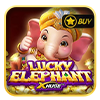 Lucky Elephant X Huge